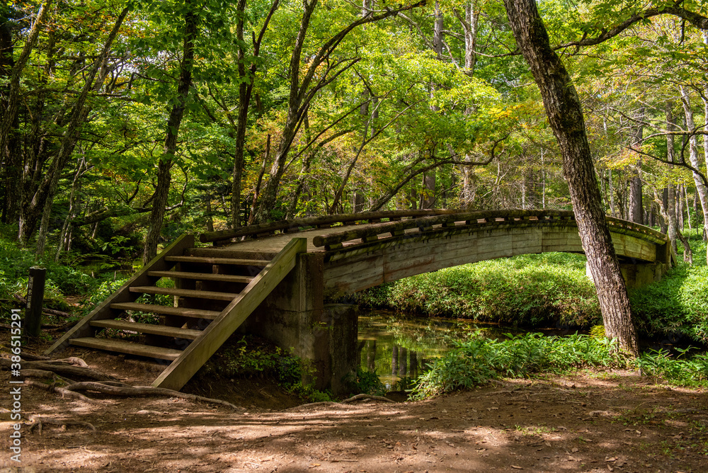 奥日光　湯川赤沼橋