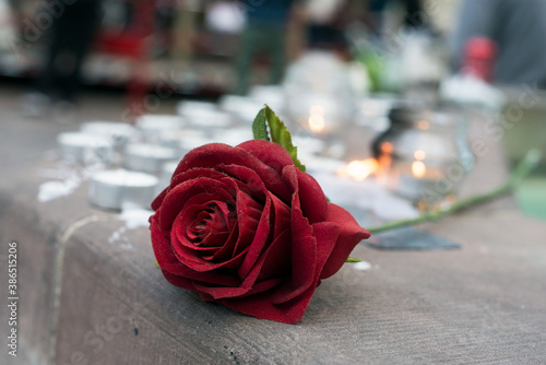 Photography closeup of red rose and candles in the street in memory of the   professor of hi