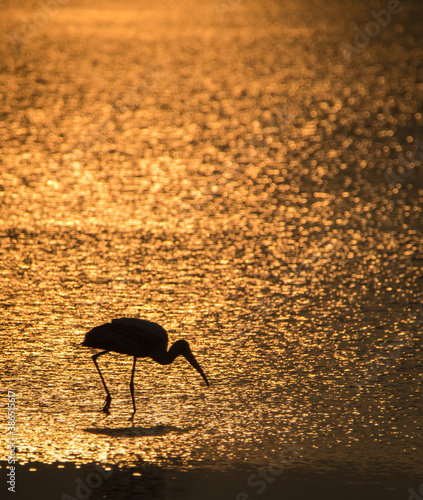sunset on the beach