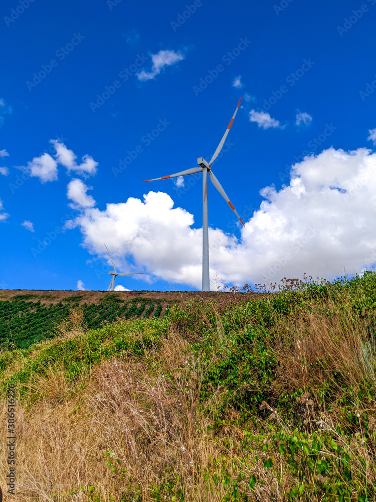 Fototapeta premium wind turbine in the field