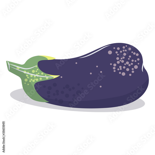 eggplant vector illustration