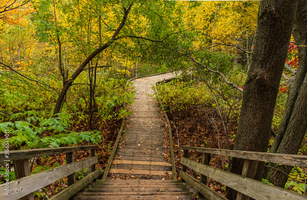 Obraz premium Cloudly day of autumn in Quebec city