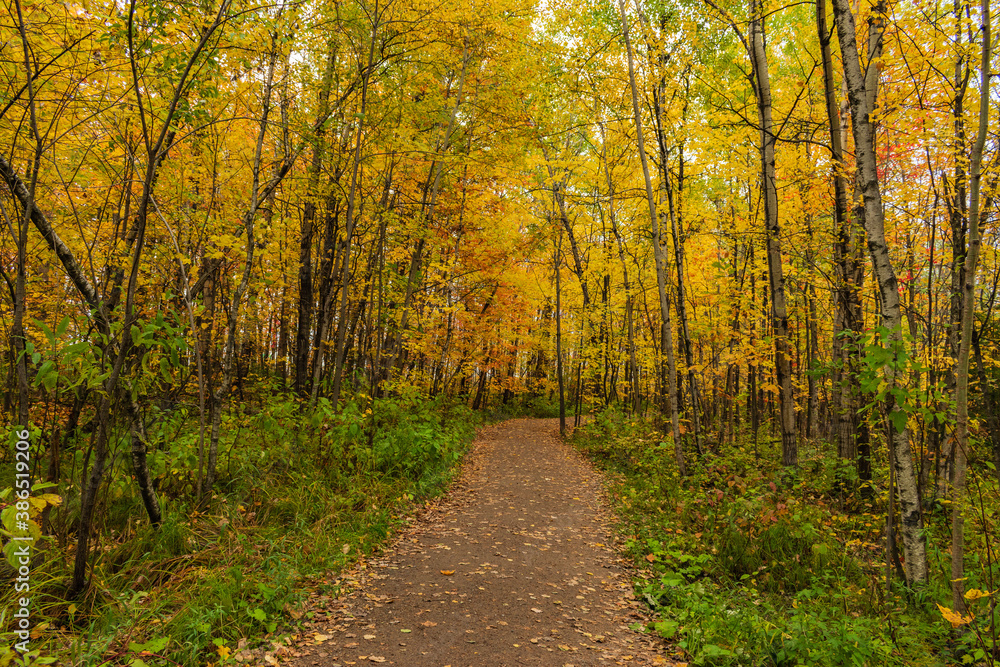 Cloudly day of autumn in Quebec city Cloudly day of autumn in Quebec city