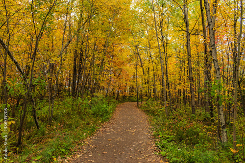 Cloudly day of autumn in Quebec city