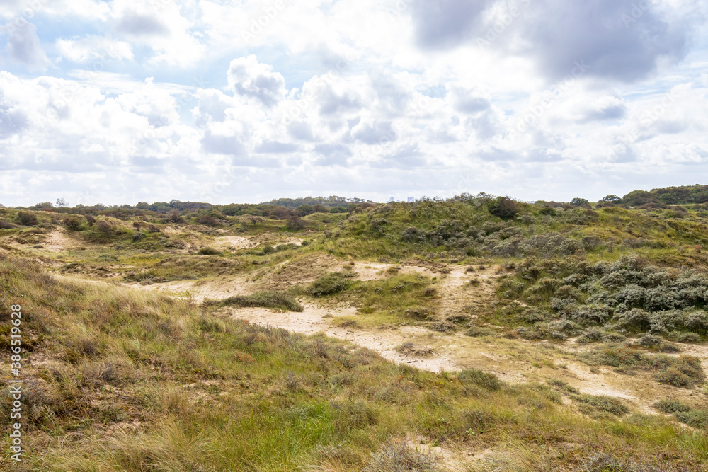 Landscape with dunes under a clouded sky, national park Meijendel