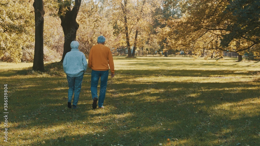 Fototapeta premium Elderly couple walking in the park in autumn while hodling hands. High quality photo