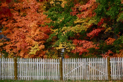 White picket fence in autumn