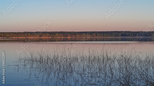 Landscape image of a beautiful forest lake in the evening light.