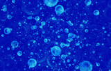 motion many bubbles in flow transparent water