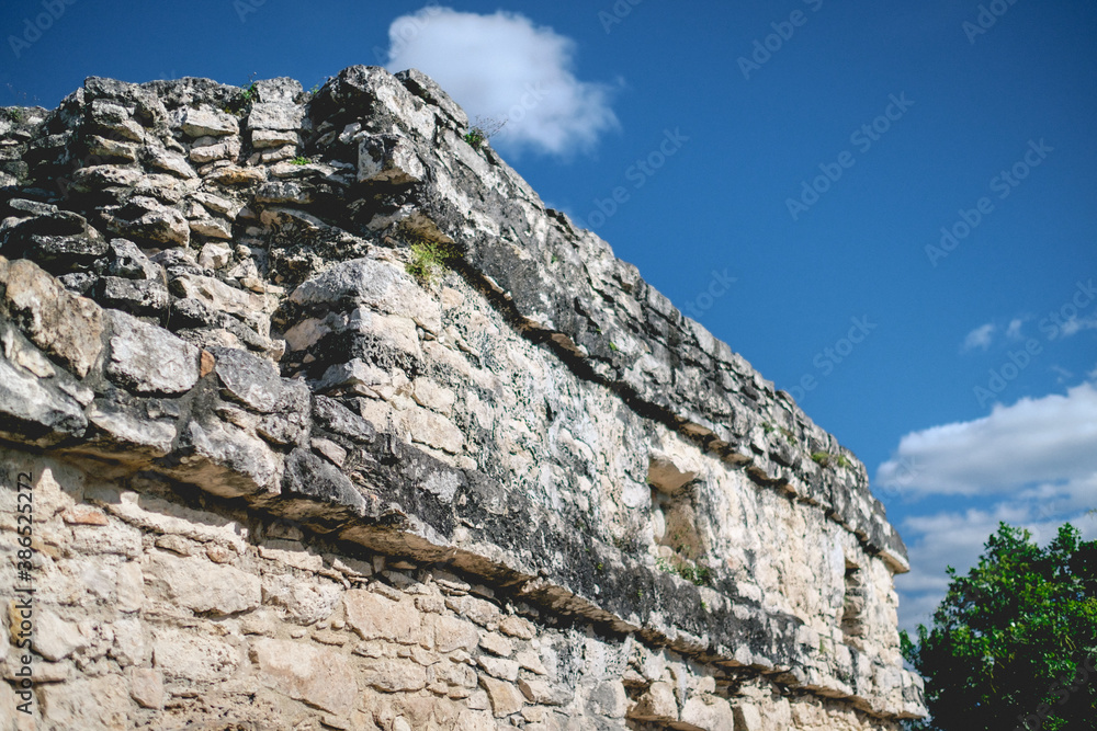 Φωτογραφία Details of the nature between the stones at the top of the Nohoch Mul Mayan Pyra