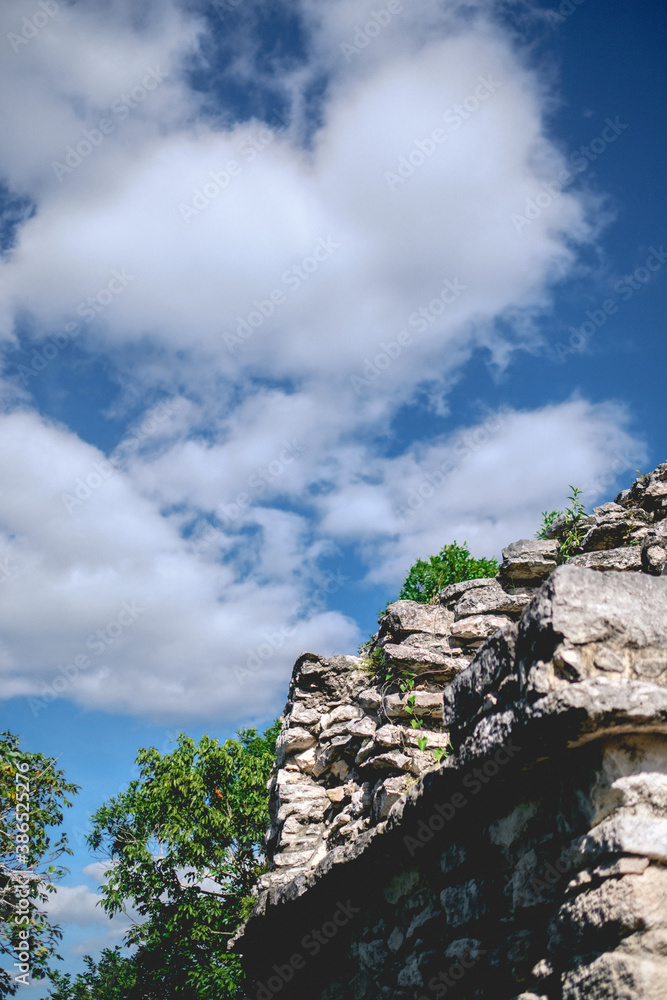 Φωτογραφία Details of the nature between the stones at the top of the Nohoch Mul Mayan Pyra