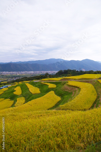 信州 夕暮れの姨捨の棚田