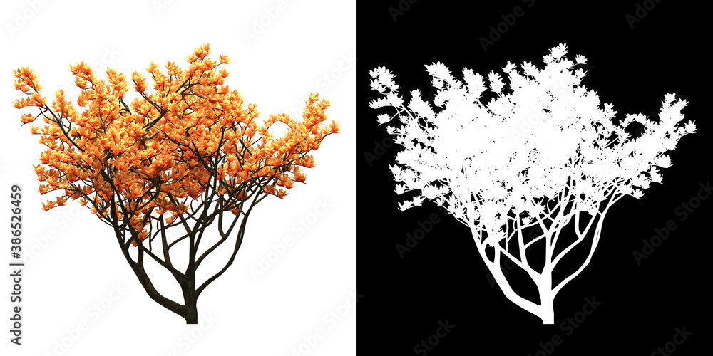 Plakat Left view of Generic Tree. PNG with alpha channel to cutout. Made from 3D model for compositing.
