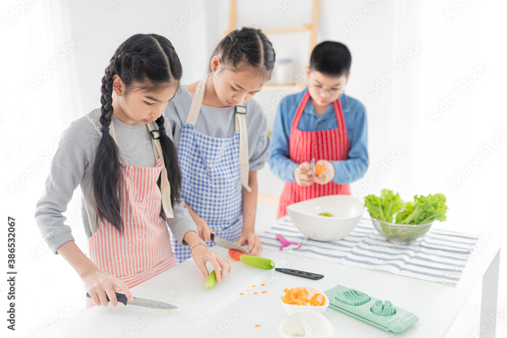 asian children group use knife slice tomato and cucumber, they prepare to cooking organic vegetables salad, they feeling happy and smile in kitchen room, children learning activity asian children group use knife slice tomato and cucumber, they prepare to cooking organic vegetables salad, they feeling happy and smile in kitchen room, children learning activity