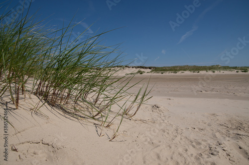 Norderney Nationalpark Nieders  chsisches Wattenmeer Strand
