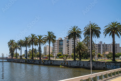 Vina Del Mar, Chile - December 8, 2008: Landscape of North Shore of the estuary with luxury tall buildings and row of mature palm trees under blue sky.