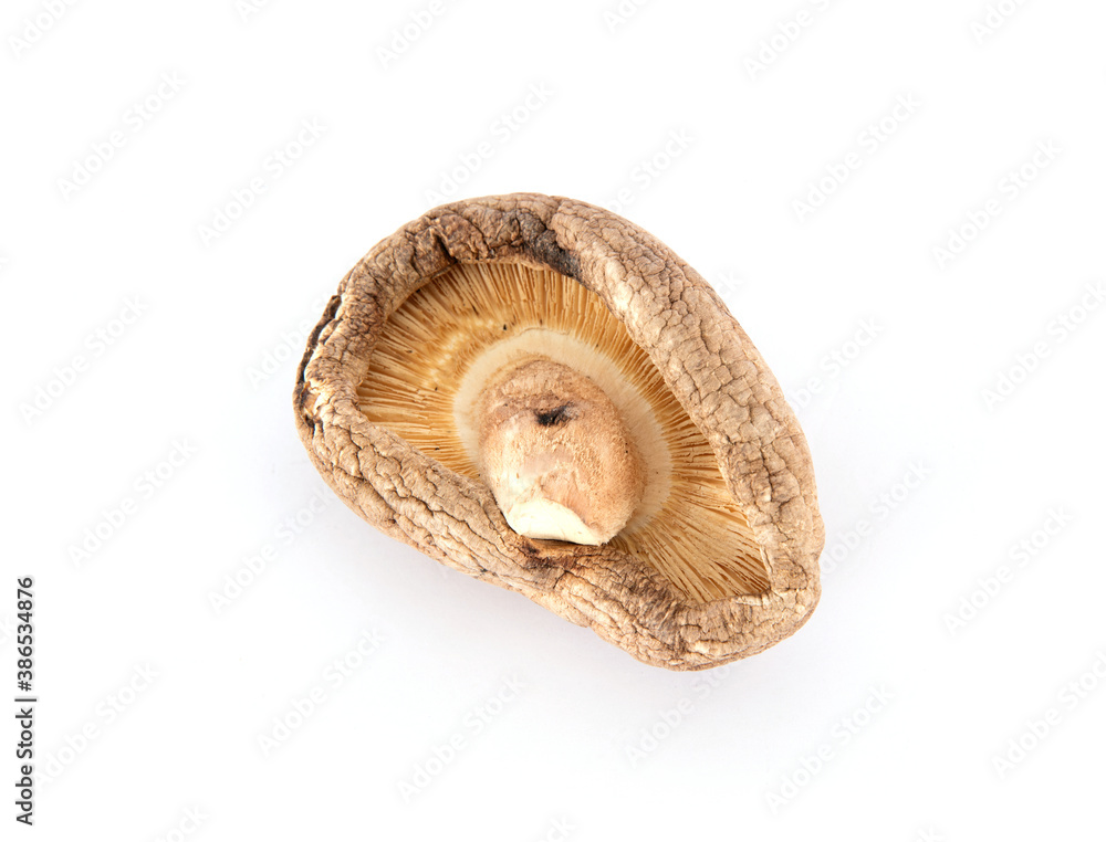 One dried mushroom on white background One dried mushroom on white background