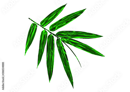 Bamboo leaf composition in design. Vector romantic landscape with bamboo trees   various attractive colors make an exclusive design