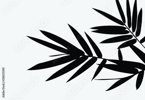 Bamboo leaf composition in design. Vector romantic landscape with bamboo trees on a white and gray background  and various attractive colors make an exclusive design