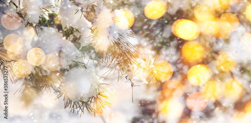 Happy New Year and Merry Christmas Background with Snow Pine Branches. Winter Natural Holiday Landscape with trees and golden bokeh lights. Banner with Copy Space © 5ph