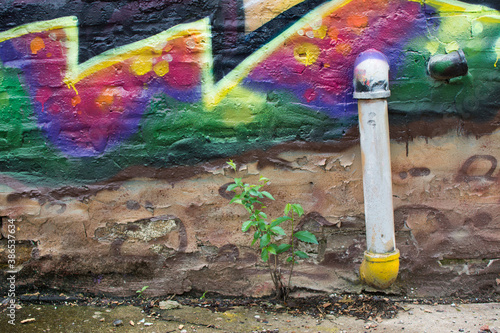 Spray paint design in an alley in Wicker Park neighborhood of Chicago photo