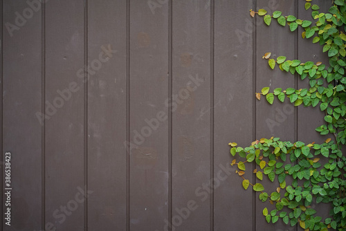 Wood and leaf texture background
