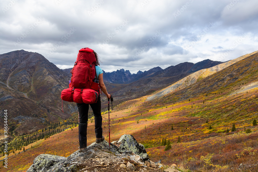 Obraz premium Woman Standing on Rocks looking at Scenic Mountain Peaks and Valley during Fall in Canadian Nature. Taken in Tombstone Territorial Park, Yukon, Canada.