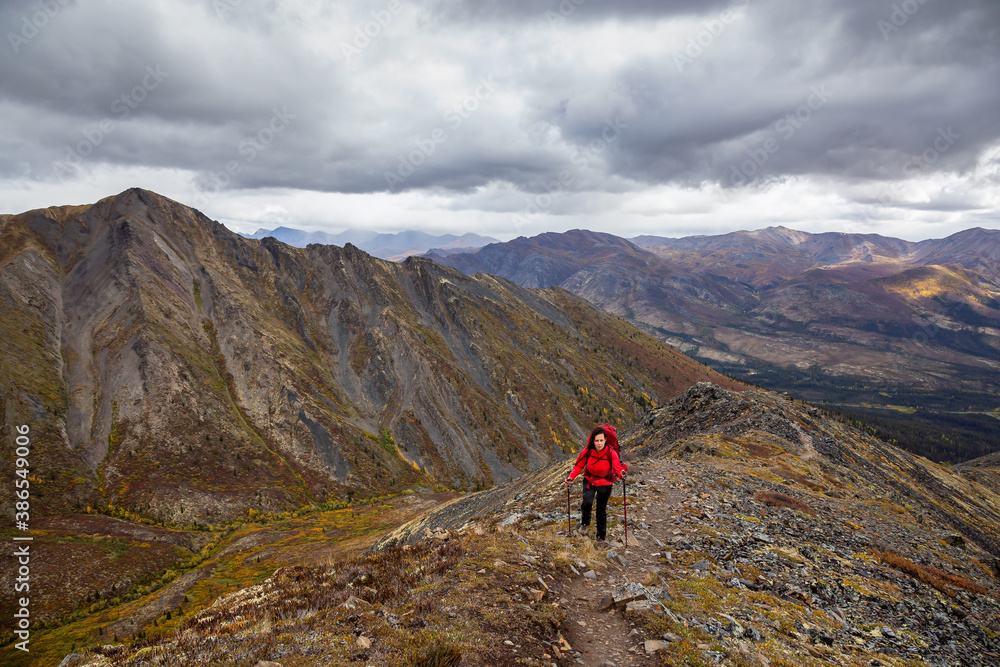 Woman Backpacking on Scenic Rocky Hiking Trail surrounded by Mountains during Fall in Canadian Nature. Taken in Tombstone Territorial Park, Yukon, Canada.