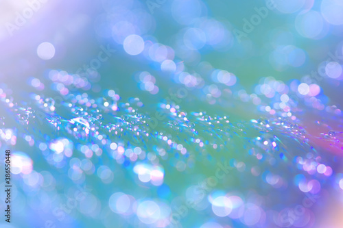 Abstract water drop bokeh on platter colorful fresh beautiful use as celebration festival concept background image.