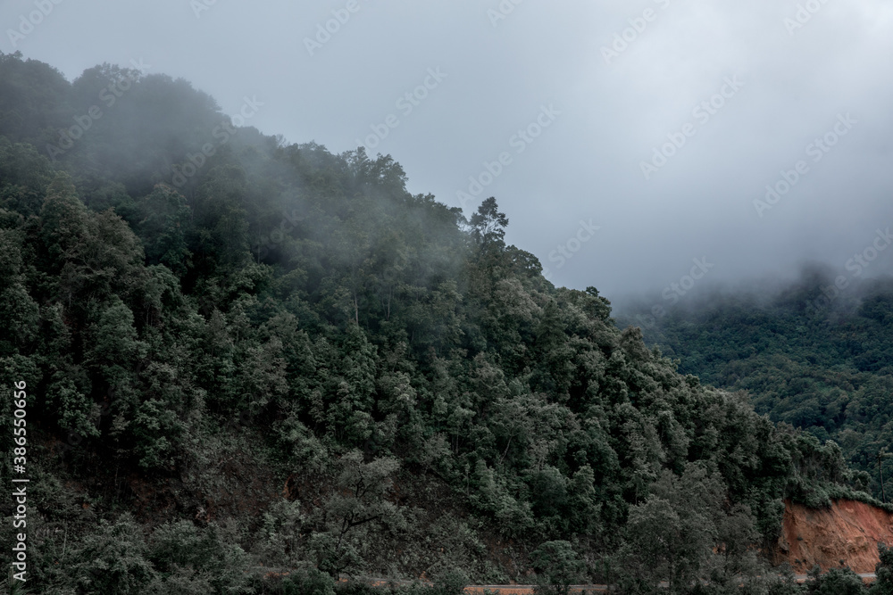 fog in the mountains