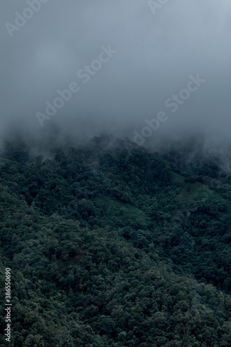 fog in the mountains