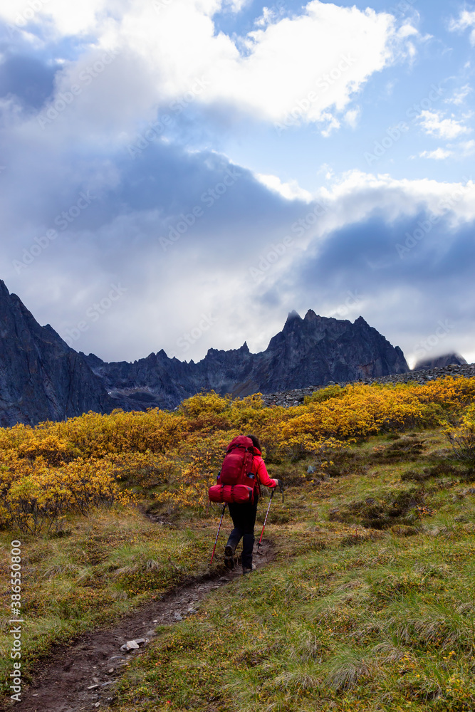 Girl Backpacking on Scenic Hiking Trail surrounded by Rugged Mountains during Fall in Canadian Nature. Taken in Tombstone Territorial Park, Yukon, Canada.