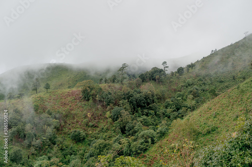 misty morning in the mountains