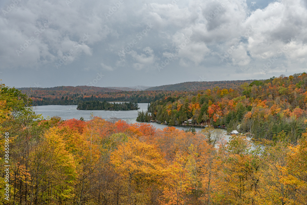 Fall Colours Colors Ompah Ontario landscape