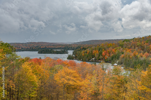 Fall Colours Colors Ompah Ontario landscape