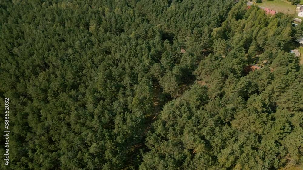 The drone slowly turning around flying over dense green leafy tree crowns of Kowalskie Blota village forest day time, Poland The drone slowly turning around flying over dense green leafy tree crowns of Kowalskie Blota village forest day time, Poland