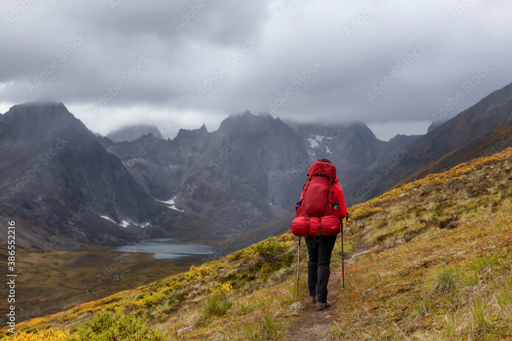 Woman Backpacking on Scenic Hiking Trail to Lake surrounded by Mountains during Fall in Canadian Nature. Taken in Tombstone Territorial Park, Yukon, Canada.