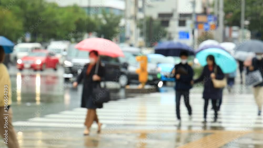 雨の日　東京　表参道　傘をさして横断歩道を歩く人々　スローモーション撮影　ぼかし