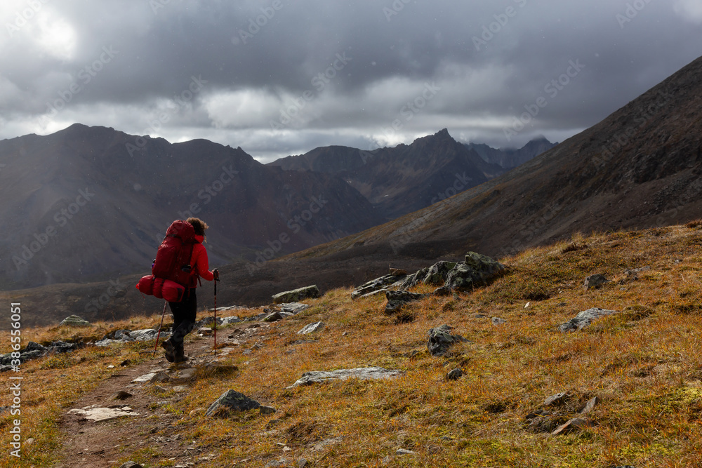 Woman Backpacking on Scenic Hiking Trail surrounded by Mountains during Fall in Canadian Nature. Taken in Tombstone Territorial Park, Yukon, Canada.