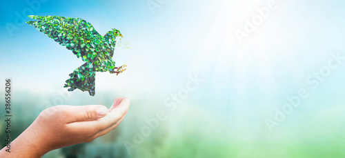 International Day for Tolerance concept: green Dove carrying leaf branch on City and blue nature background