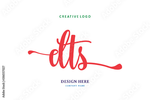 simple DTS lettering logo is easy to understand, simple and authoritative