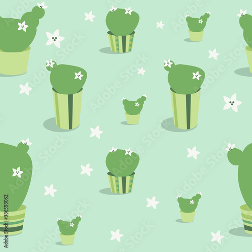 Very cute and pleasant indoor plants - cacti