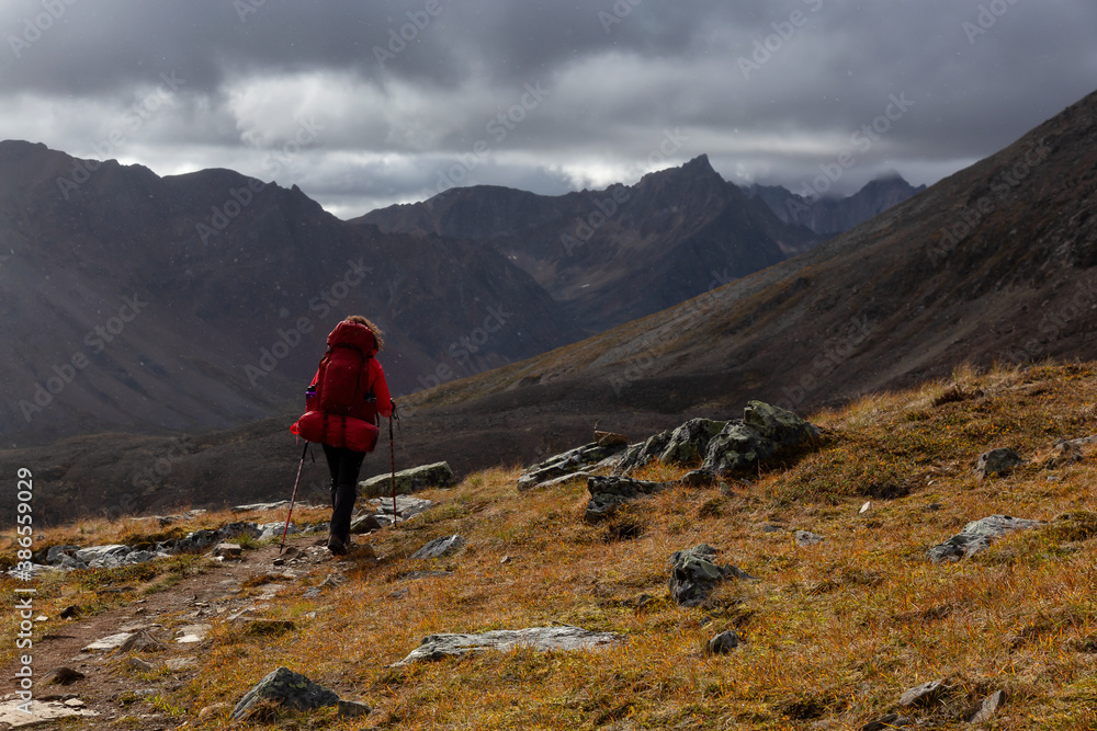 Woman Backpacking on Scenic Hiking Trail surrounded by Mountains during Fall in Canadian Nature. Taken in Tombstone Territorial Park, Yukon, Canada.