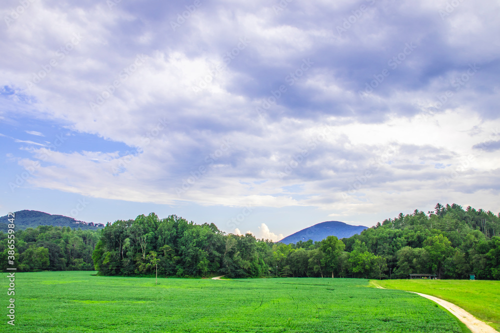 A path in a field in the country with beautiful green pastures