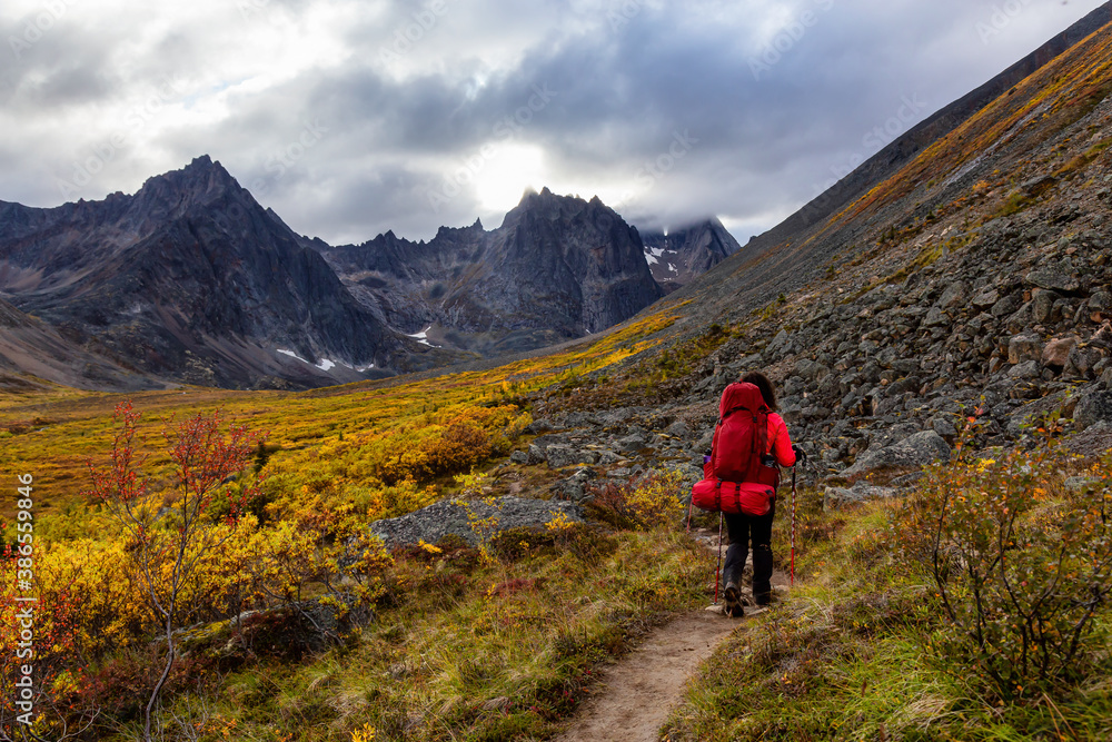 Woman Backpacking on Scenic Hiking Trail surrounded by Rugged Mountains during Fall in Canadian Nature. Taken in Tombstone Territorial Park, Yukon, Canada.