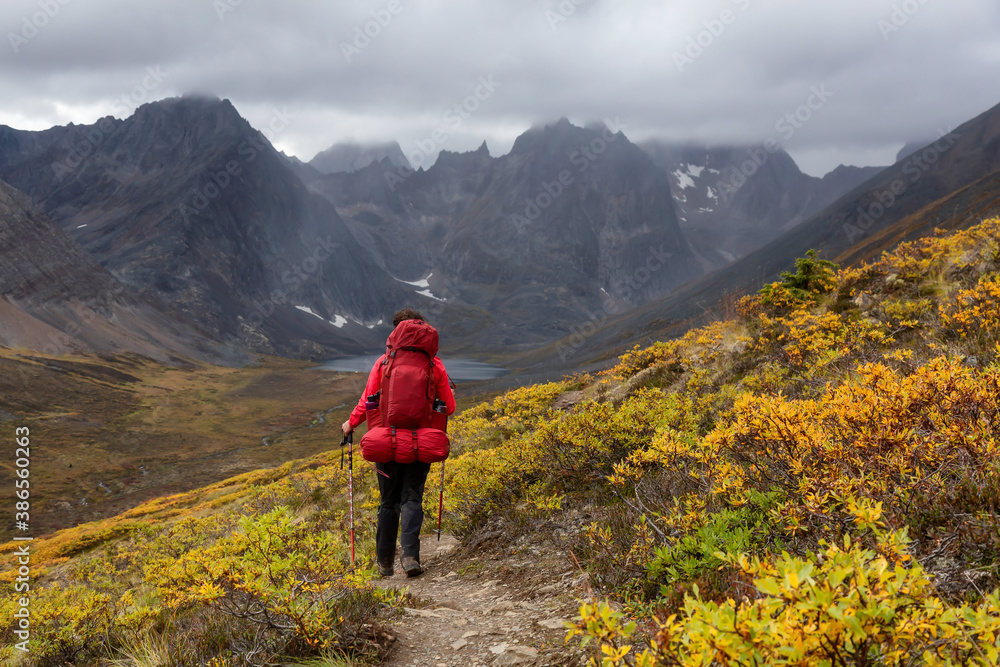 Woman Backpacking on Scenic Hiking Trail to Lake surrounded by Mountains during Fall in Canadian Nature. Taken in Tombstone Territorial Park, Yukon, Canada.