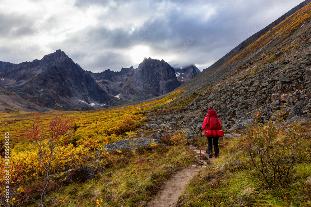 Woman Backpacking on Scenic Hiking Trail surrounded by Rugged Mountains during Fall in Canadian Nature. Taken in Tombstone Territorial Park, Yukon, Canada.