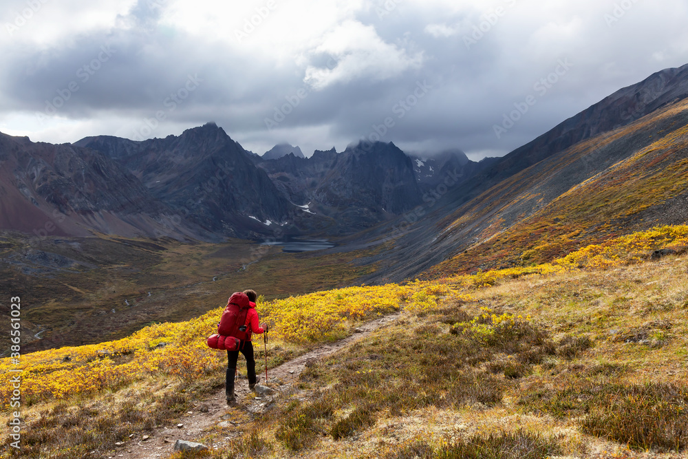 Plakat Woman Backpacking on Scenic Hiking Trail to Lake surrounded by Mountains during Fall in Canadian Nature. Taken in Tombstone Territorial Park, Yukon, Canada.