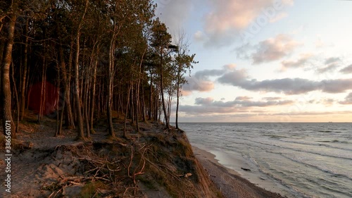 Baltic seashore near Klaipeda in Lithuania , at the place named Dutchman cap. Deciduous forest growing on a sandy hillside at sunset. photo