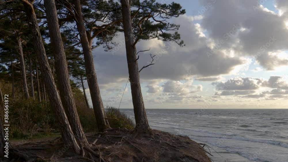 A wooden swing hanging between two pine trees growing on sandy hillside. Beautiful sunset on the Baltic sea at A wooden swing hanging between two pine trees growing on sandy hillside. Beautiful sunset on the Baltic sea at